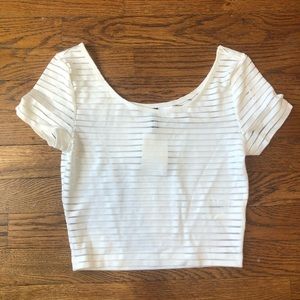NWT H&M Crop Top